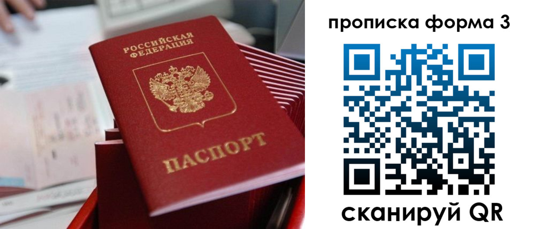 временная регистрация гарантия в Камышлове